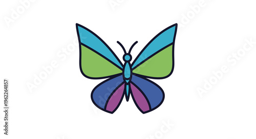 Colorful Butterfly Insect Winged Creature.