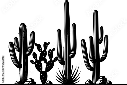 Black and white illustration of various cacti