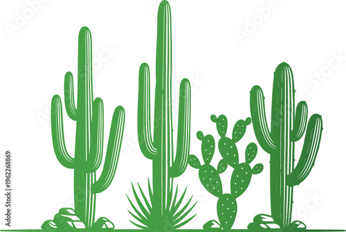 Vibrant green cacti illustration