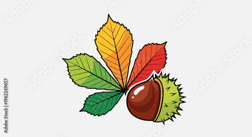 Autumn leaves and a brown conker with its spiky green husk
