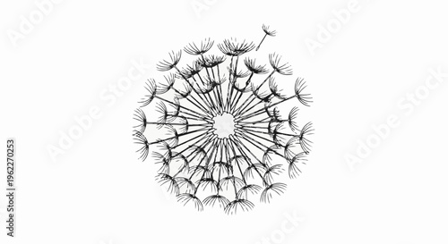 Artistic sketch of a dandelion puffball with seeds floating away