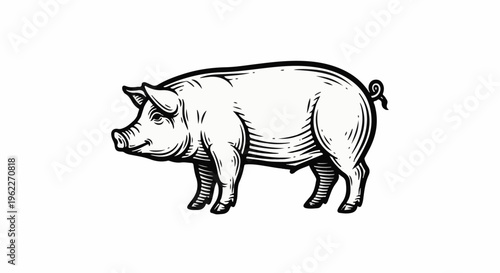 Black and white illustration of a pig facing left