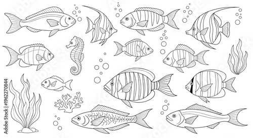 Detailed collection of various fish species and sea creatures like seahorses and coral for underwater marine life concepts.