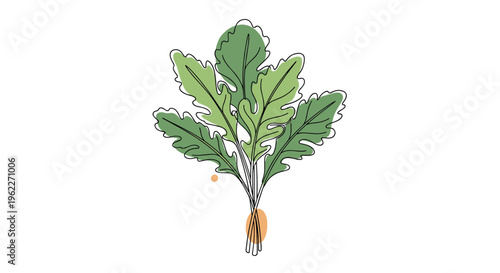 Artistic line drawing of a fresh bunch of kale or arugula leaves with minimalist color blobs on a clean white background.