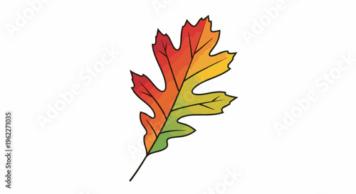 An oak leaf displaying a gradient of autumn colors, from red to yellow and green