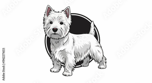 A white West Highland Terrier dog stands against a black oval background