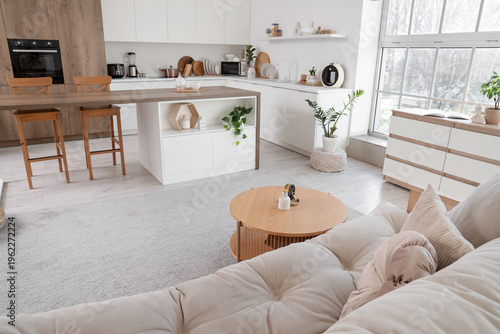 Interior of modern studio apartment with couch and kitchen counters
