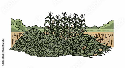 A stylized illustration of harvested corn stalks and husks piled in a field