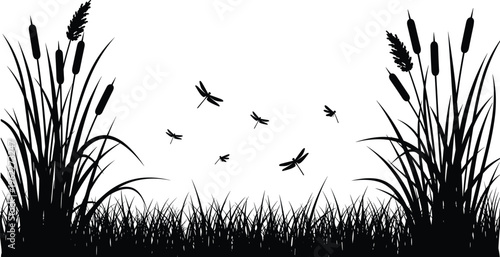 Wetland reeds and cattail silhouette with dragonflies flying, natural marsh landscape illustration for wildlife habitat design, pond ecosystem, and aquatic nature background