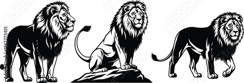 Black silhouettes of three lions in standing, sitting, and walking poses, majestic wildlife vector illustration emphasizing strength and character isolated on white background