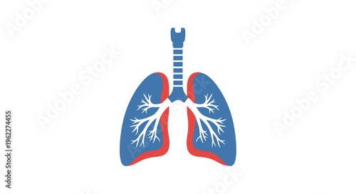 Anatomical illustration of human lungs in graphic style for educational or medical use cases
