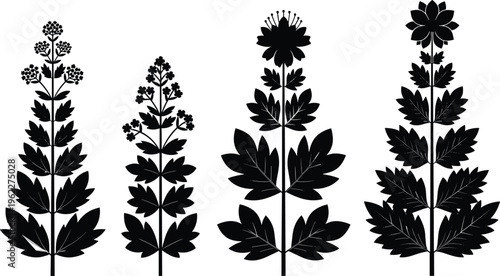 Black silhouette illustration of diverse flowering plants with distinct leaf shapes and floral structures, symbolizing botanical diversity, natural design elements, and educational plant identificatio
