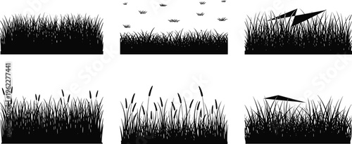 Grass silhouettes with wild meadow plants and reeds, detailed black ground vegetation isolated for landscape design, lawn elements, and natural outdoor illustration projects