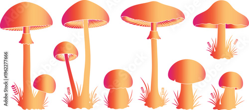 Vibrant orange mushrooms on with grass and plants