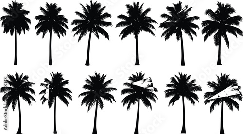 Set of palm tree silhouettes with tropical variations, black island trees isolated for beach design, summer themes, exotic landscapes, and detailed illustration projects