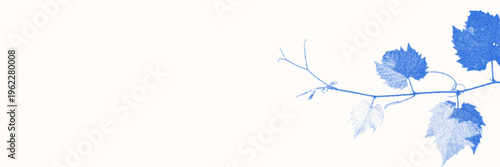 Blue cyanotype grapevine background. Stipple dot overlay texture with vine twig silhouette. Delicate indigo blue nature banner.