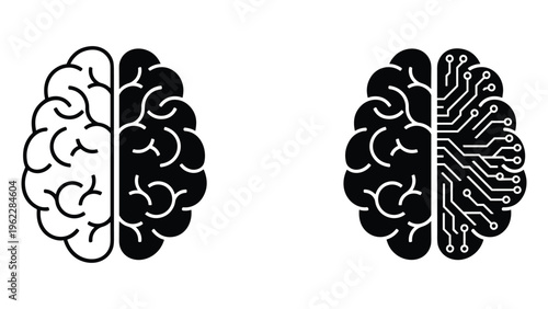 Black and white of human lungs with bronchial tubes