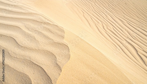  Superficie de arena con formas orgánicas y sombras suaves creando un patrón natural.
