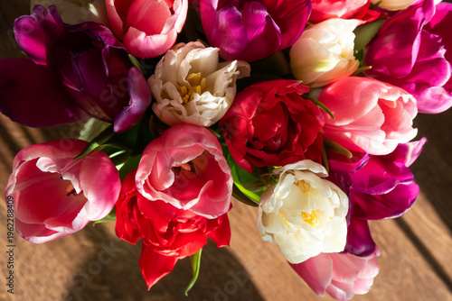 beautiful flowers tulips of different colors