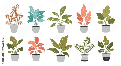 Variety of indoor houseplants with different leaf shapes and colors presented in simple grey pots in two rows.