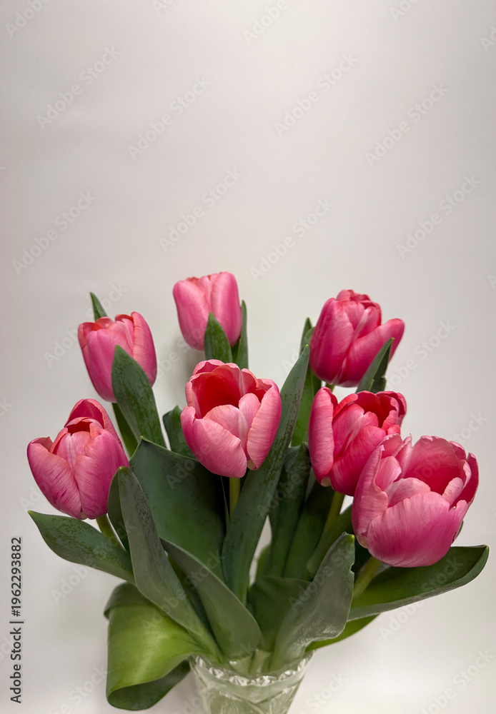 Fototapeta premium Pink tulips bouquet