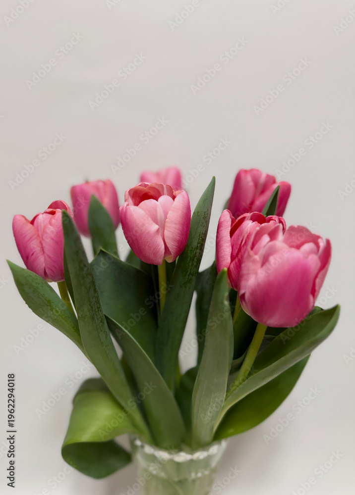 Obraz premium Pink tulips bouquet