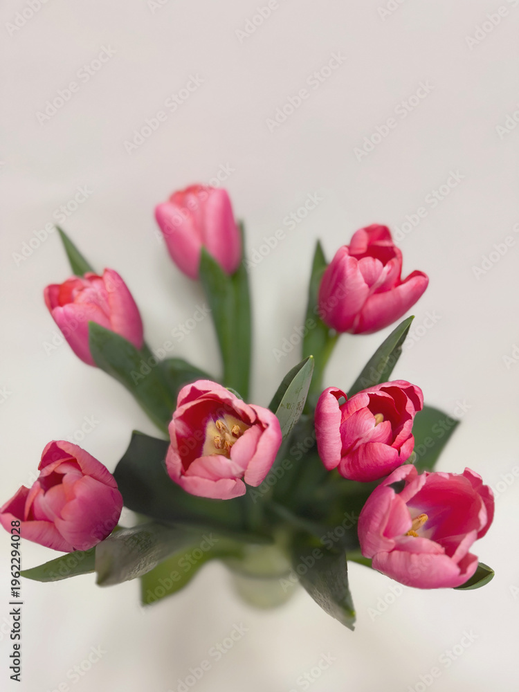 Obraz premium Pink tulips bouquet