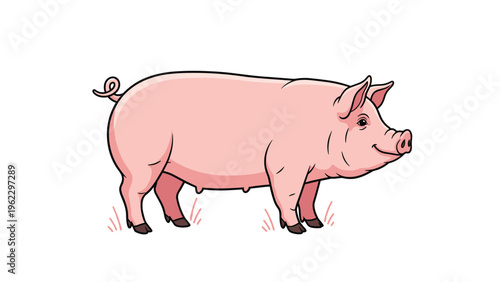 Realistic and detailed illustration of a domestic pink pig standing on grass, ideal for farming and agricultural themes and projects.