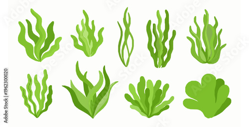 Green Algae Vector Set with Seaweed and Organic Shapes on White
