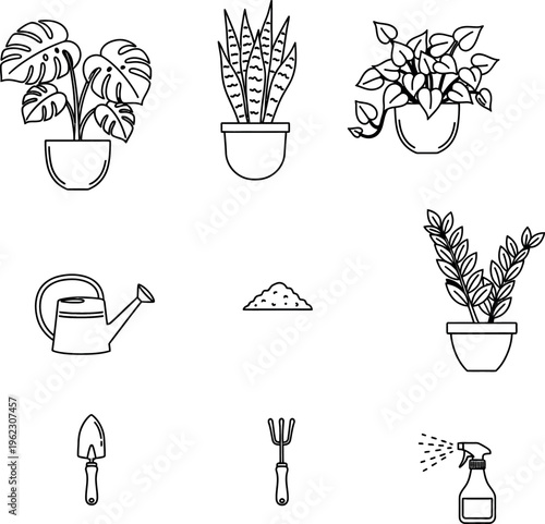 Illustrated guide to basic indoor gardening tools and plants