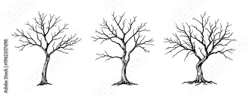 Dead Tree Branch set with isolated silhouette on white background featuring bark, leaf remnants, and natural decay with black line art and illustration