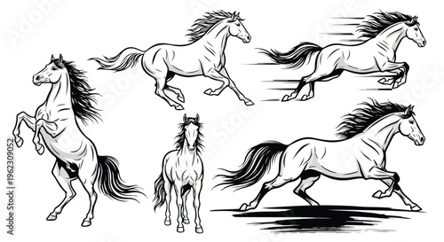 A black vector silhouette illustration of a wild stallion galloping in a dynamic running pose on a clean white background