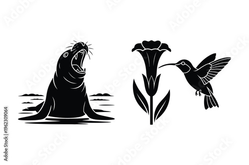 Black silhouette of yawning seal in water and hummingbird feeding