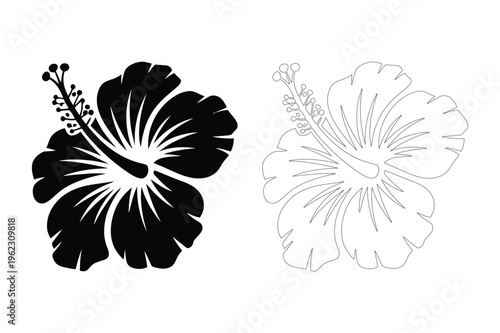 Black silhouette of hibiscus flower and outline drawing