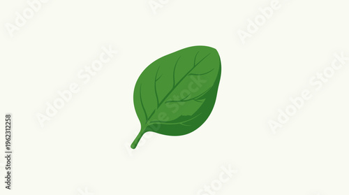 A single fresh spinach leaf against a light background.