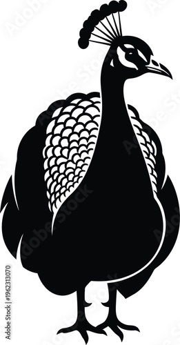 Majestic peacock silhouette with detailed plumage