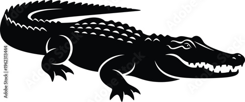 Black silhouette of a crocodile on a white background
