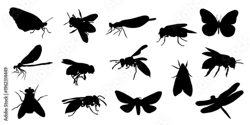 Collection of insect silhouettes including mosquito, fly, ant, cockroach, butterfly, moth and other bugs. Black silhouettes isolated on white background. Perfect for pest control, biology, infographic