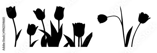 Tulip flower set with elegant monochrome silhouettes featuring organic shapes, delicate profiles, and botanical forms with natural beauty and floral essence