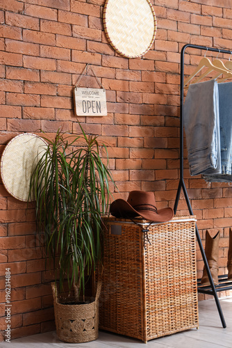 Green houseplant and stylis...