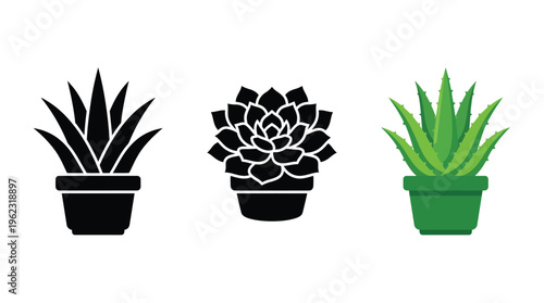 Three potted succulent plants in varying styles a graphic silhouette