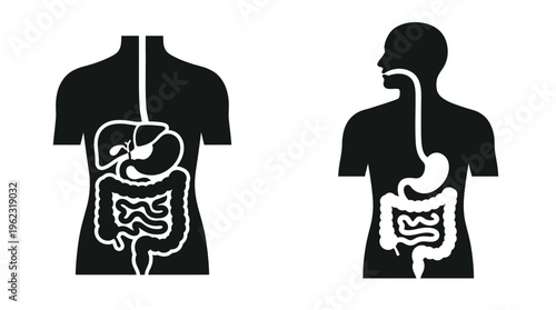 Human anatomy illustration showing digestive system in black silhouette high quality