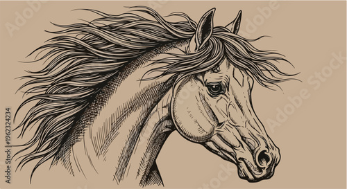 Isolated vector illustration of a beautiful horse head portrait featuring a wild brown stallion with a black mane, representing a majestic equine mammal from the farm nature