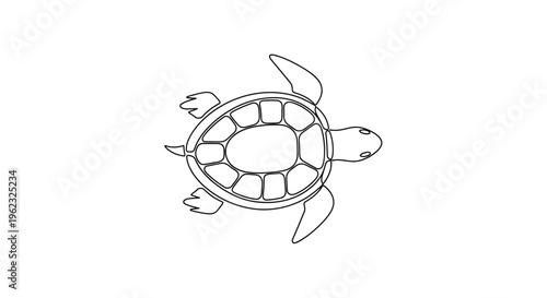 Detailed drawing of a turtle.