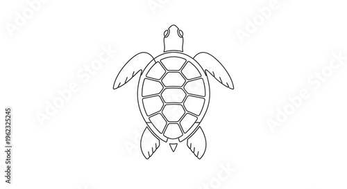 Turtle Shell Animal Illustration Closeup.
