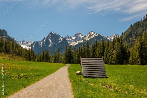 Scenic mountain landscape in High Tatras, Slovakia with gravel path leading through green meadow towards forest and snow-capped peaks. Peaceful alpine countryside in sunny weather.