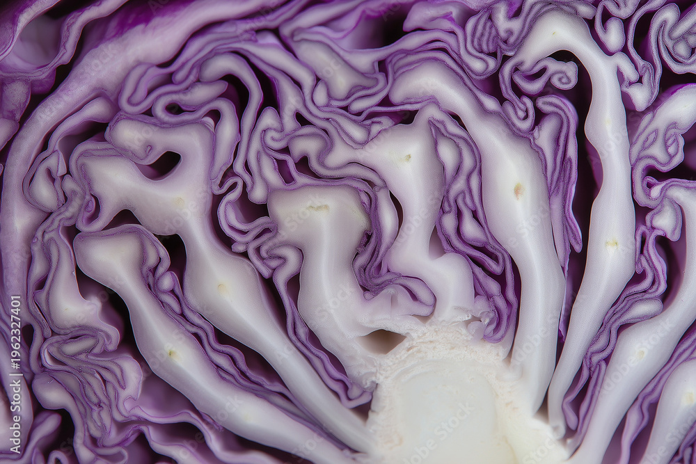 Obraz premium A hyper-macro, top-down view of a cross-sectioned purple cabbage. The focus is on the intricate, white labyrinthine veins against the deep violet leaves. Soft, cinematic side-lighting to emphasize the