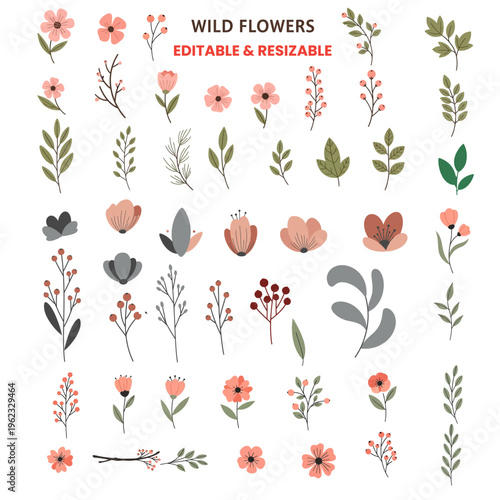 Collection of wild flowers, berries, and leaves, editable and resizable vector elements