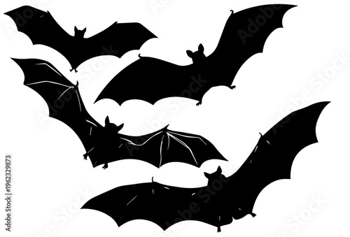 halloween bat and bats
