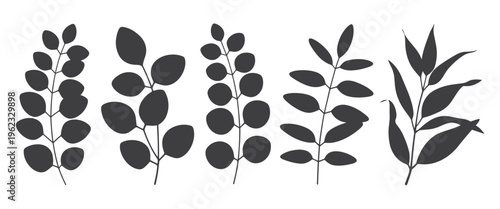 Five dark grey botanical plant stems with leaves leaf